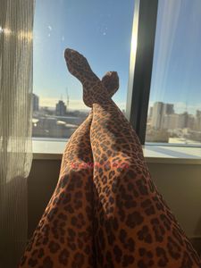 Profile Image of Perth Escort Missy