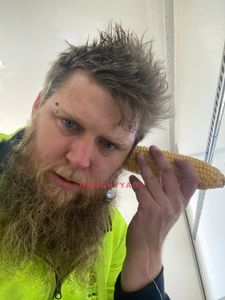 Profile Image of Aberglasslyn Male Escort Lachlan Stewart