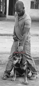 Profile Image of Melbourne Male Escort G.will