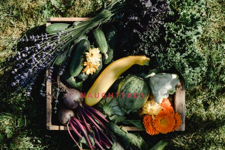 Image 0 for Blog Top 4 Foods That Will Boost Your Performance in Bed 
