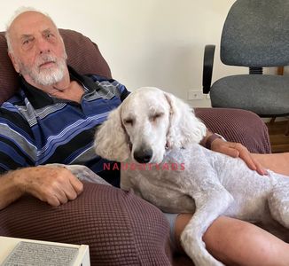 Profile Image of Gawler Male Body Rub Raymond