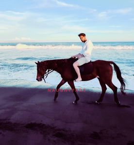 Profile Image of Gold Coast Male Escort Tommy Hart