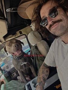 Profile Image of Sunshine Coast Male Escort Kurtis