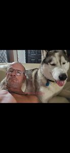 Profile Image of Sunshine Coast Male Escort zues set
