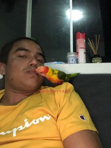 Profile Image of Sydney Male Escort Jimmy 