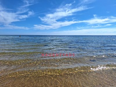 Image 4 for Blog What's been happening!