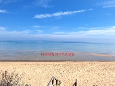 Image 3 for Blog What's been happening!