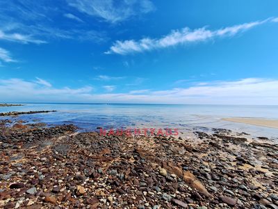 Image 2 for Blog What's been happening!