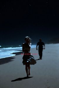 Image 0 for Blog Hunting Amber 