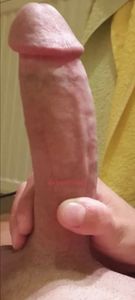 Profile Image of Adelaide Male Escort Sebastian 