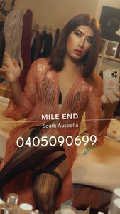 Profile Image of Adelaide Trans Escort Alicia