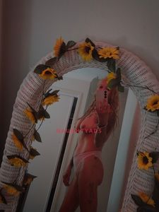 Profile Image of Brisbane Escort Abby
