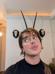 Profile Image of Airlie Beach Trans Escort Harper Thomas 