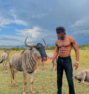 Profile Image of Gold Coast Male Escort Kelvin