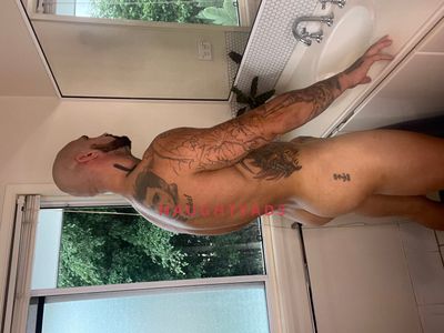 Profile Image of Gold Coast Male Escort Roc