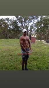 Profile Image of Lake Haven Male Escort Steve