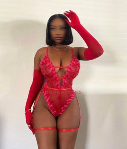 Profile Image of Gold Coast Escort Cassie