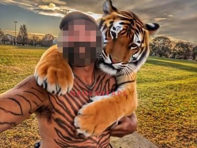 Profile Image of Melbourne Male Body Rub MAGIC MASSAGE MAN
