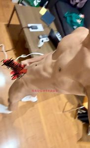 Profile Image of Melbourne Male Escort Young Alpha Gentleman