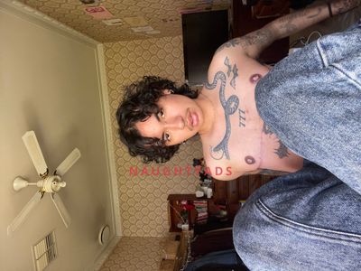 Profile Image of Melbourne Trans Escort Angel FTM