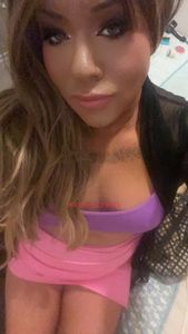 Profile Image of Melbourne Trans Escort 🔥 n HORNY TRANSEXXXY TIFFY 💋Servicing Shlong in SWAN HILL