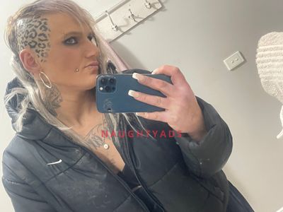 Profile Image of Melbourne Trans Escort Sasha Sinn