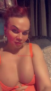 Profile Image of Melbourne Trans Escort satara