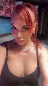 Profile Image of Melbourne Trans Escort satara