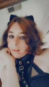 Profile Image of Melbourne Trans Escort Vixen