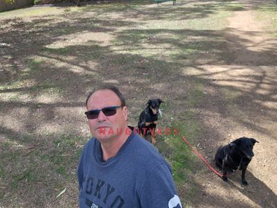 Profile Image of Melton Male Escort Brian 