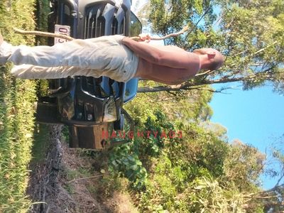 Profile Image of Gold Coast Male Escort Conor Fiántas