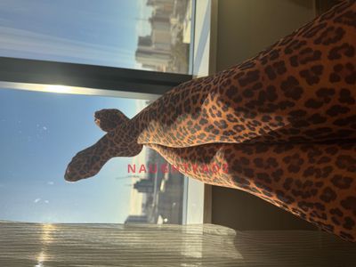 Profile Image of Perth Escort Missy