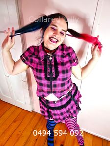 Profile Image of Rockhampton Trans Escort Collared Lilly