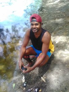 Profile Image of San Remo Male Escort Steve