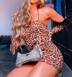 Profile Image of Perth Trans Escort Bruna Hung Ts