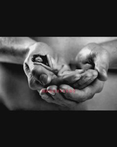 Profile Image of Perth Male Escort Michael 