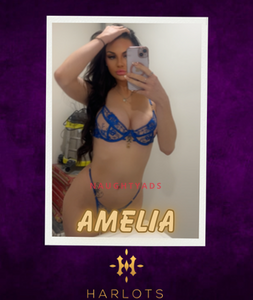 Profile Image of Canberra Escort Amelia 0480 094 199