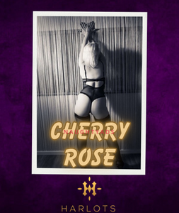 Profile Image of Canberra Escort Cherry Rose 0480 094 199
