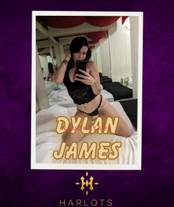 Profile Image of Canberra Escort Dylan 0480 094 199