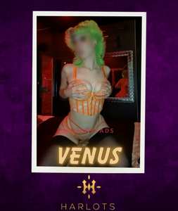 Profile Image of Canberra Escort Harlots Canberra - 0488 862 540