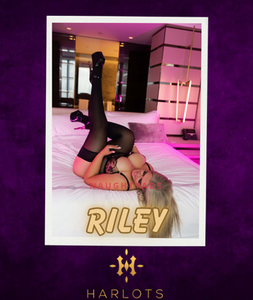 Profile Image of Canberra Escort Riley 0488 862 540