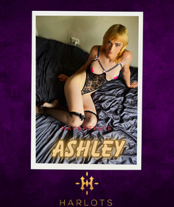 Profile Image of Canberra Trans Escort Ashley 0488 862 560