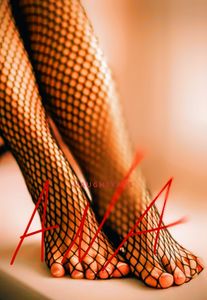 Profile Image of Gold Coast Trans Escort Ana_Ts