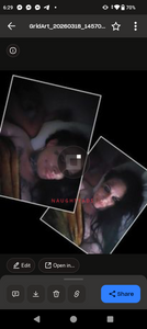 Profile Image of Perth Escort Kimberley 