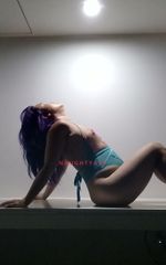 Image of Sydney Escort Foxy bunny