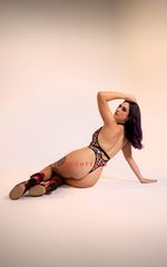 Image of Brisbane Escort Kitty K