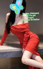 Image of Sydney Escort 41 Helen St Sefton  NSW 2162-Cheap- good -different young beautiful Asian ladies