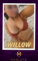 Image of Canberra Escort Willow  0480 094 199