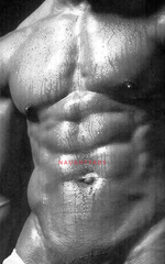 Image of Perth Male Escort Michael 