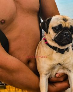 Image of Geelong Male Escort Leo Dale 